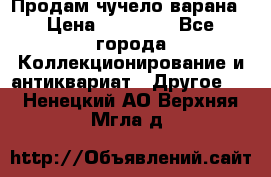 Продам чучело варана › Цена ­ 15 000 - Все города Коллекционирование и антиквариат » Другое   . Ненецкий АО,Верхняя Мгла д.